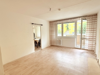 obývací pokoj - Pronájem bytu 3+1 v osobním vlastnictví 73 m², Praha 3 - Žižkov