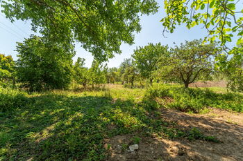 Prodej pozemku 1938 m², Určice