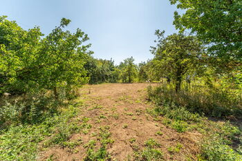 Prodej pozemku 1938 m², Určice