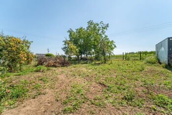 Prodej pozemku 1938 m², Určice