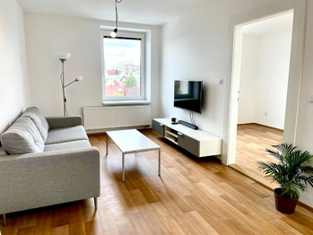 vizualizace - Pronájem bytu 1+1 v osobním vlastnictví 46 m², Pardubice