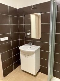 Pronájem bytu 1+kk v osobním vlastnictví 45 m², Jihlava