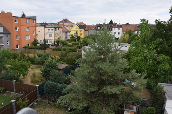 Pohled z okna - Prodej bytu atypický v osobním vlastnictví 70 m², Plzeň