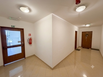 Společná uzavíratelná chodba se 4-mi byty. - Prodej bytu 2+kk v osobním vlastnictví 61 m², Praha 9 - Letňany