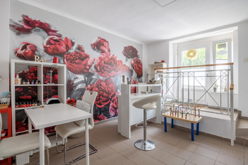 Kosmetické studio - Prodej domu 400 m², Praha 6 - Dejvice