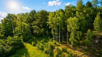 Výhled z lodžie  - Prodej bytu 2+kk v družstevním vlastnictví 42 m², Kamenický Šenov