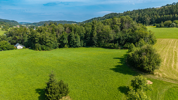 Prodej pozemku 36931 m², Mírová pod Kozákovem