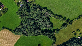 Prodej pozemku 36931 m², Mírová pod Kozákovem