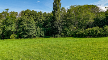 Prodej pozemku 36931 m², Mírová pod Kozákovem
