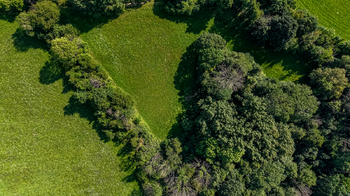 Prodej pozemku 36931 m², Mírová pod Kozákovem