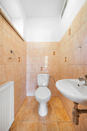 Prodej domu 125 m², Dolní Věstonice