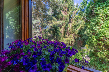 Prodej chaty / chalupy 72 m², Slapy