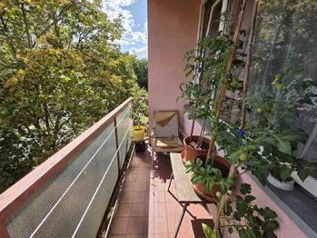 Prodej bytu 3+1 v osobním vlastnictví 63 m², Bílina