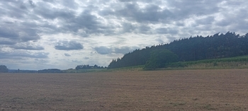 Prodej pozemku 49428 m², Počepice