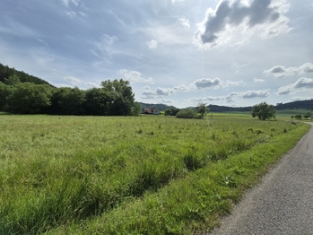 Prodej pozemku 12284 m², Linhartice