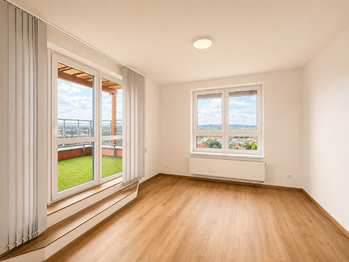 Pronájem bytu 5+kk v osobním vlastnictví 114 m², Plzeň