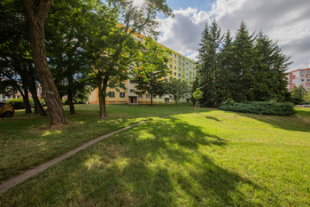 Pronájem bytu 2+1 v osobním vlastnictví 55 m², Olomouc