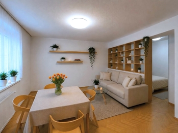 Pronájem bytu 2+1 v osobním vlastnictví 60 m², České Budějovice