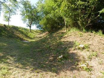 Prodej pozemku 911 m², Letovice