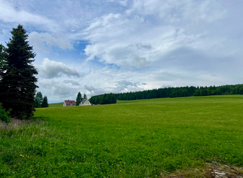 Prodej nájemního (činžovního) domu 590 m², Kovářská