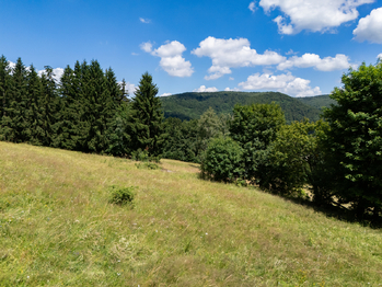 Prodej pozemku 938 m², Klíny