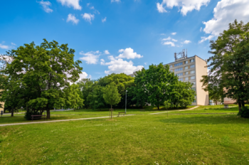 Prodej bytu 3+1 v družstevním vlastnictví 75 m², Teplice