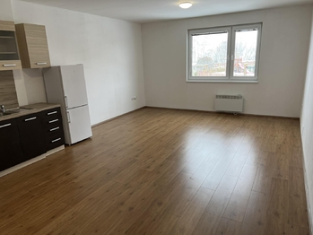 Pronájem bytu 1+kk v osobním vlastnictví 39 m², Lavičky