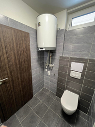 Pronájem bytu 1+kk v osobním vlastnictví 39 m², Lavičky