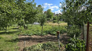 Pozemek 668 m2 s možností výstavby chaty - Prodej pozemku 668 m², Bohdalice-Pavlovice