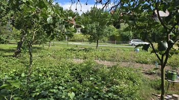 Pozemek 668 m2 s možností výstavby chaty - Prodej pozemku 668 m², Bohdalice-Pavlovice