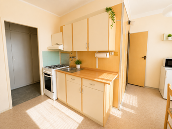 Vizualizace - Pronájem bytu 1+1 v osobním vlastnictví 48 m², České Budějovice