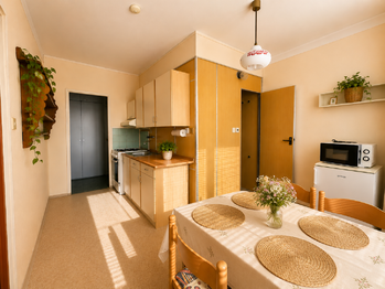Vizualizace - Pronájem bytu 1+1 v osobním vlastnictví 48 m², České Budějovice