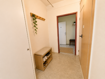 Vizualizace - Pronájem bytu 1+1 v osobním vlastnictví 48 m², České Budějovice