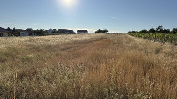 Prodej pozemku 6921 m², Ivaň
