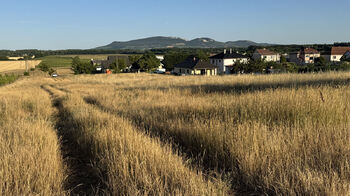 Prodej pozemku 6921 m², Ivaň