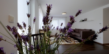 Prodej chaty / chalupy 91 m², Ochoz u Brna