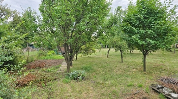 Zahrada 580 m2 s chatkou 14 m2 - Prodej pozemku 580 m², Ivanovice na Hané