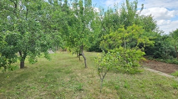 Zahrada 580 m2 s chatkou 14 m2 - Prodej pozemku 580 m², Ivanovice na Hané