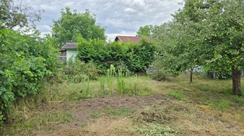 Zahrada 580 m2 s chatkou 14 m2 - Prodej pozemku 580 m², Ivanovice na Hané