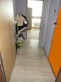 Prodej bytu 1+1 v družstevním vlastnictví 36 m², Krupka
