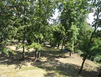Prodej bytu 1+1 v družstevním vlastnictví 36 m², Krupka