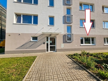 Pronájem bytu 1+kk v osobním vlastnictví 41 m², Žatec