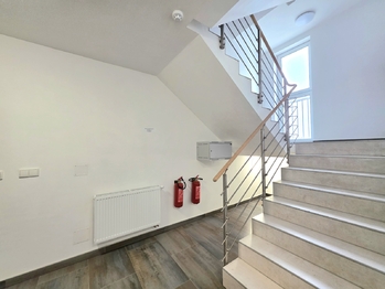 Pronájem bytu 1+kk v osobním vlastnictví 41 m², Žatec