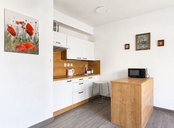Pronájem bytu 1+kk v osobním vlastnictví 41 m², Žatec