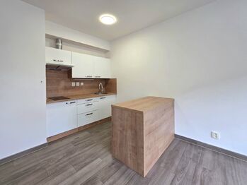 Pronájem bytu 1+kk v osobním vlastnictví 41 m², Žatec