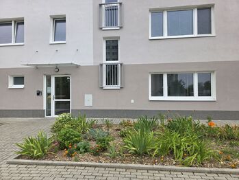 Pronájem bytu 1+kk v osobním vlastnictví 41 m², Žatec