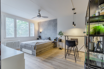 Prodej bytu 1+kk v osobním vlastnictví 26 m², Praha 4 - Braník