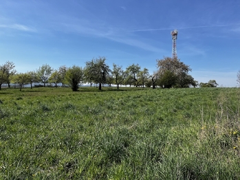 Pronájem pozemku 7559 m², Horní Újezd