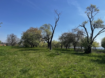 Pronájem pozemku 7559 m², Horní Újezd