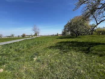 Pronájem pozemku 7559 m², Horní Újezd